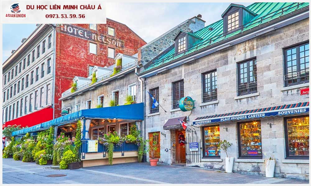 Montreal: "Thiên đường" dành cho sinh viên quốc tế