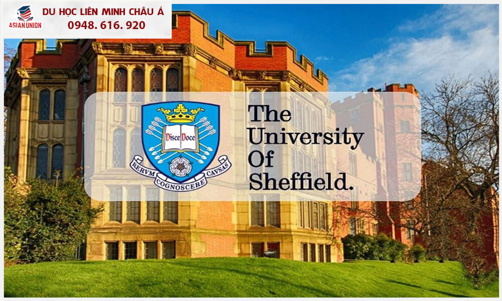 Du học ngành trí tuệ nhân tạo tại Anh Quốc trường Đại học Sheffield