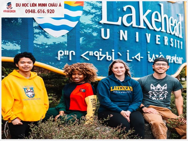 Điều kiện đầu vào của Đại học Lakehead