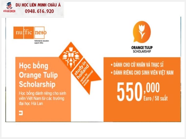 Học bổng Orange Tulip Scholarship Programme