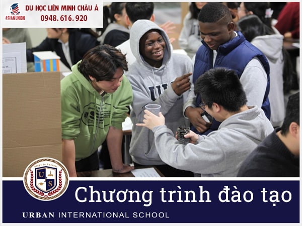 Chương trình đào tạo của trường trung học Urban International School