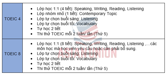Khoá TOEIC của Anh ngữ CEA