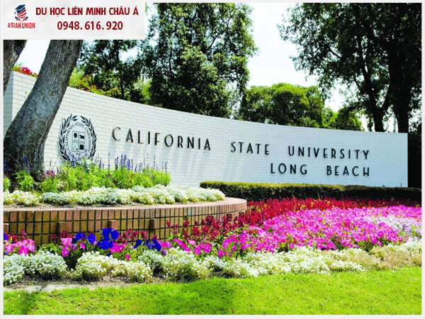 California State University – Trường đại học công lập có chi phí thấp