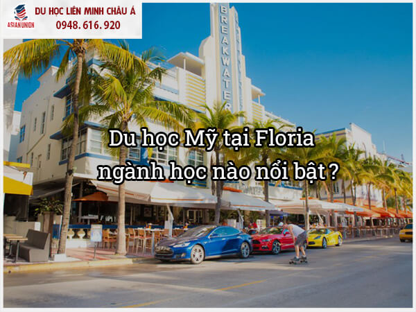 Du học Mỹ tại bagn Florida nên học ngành gì?