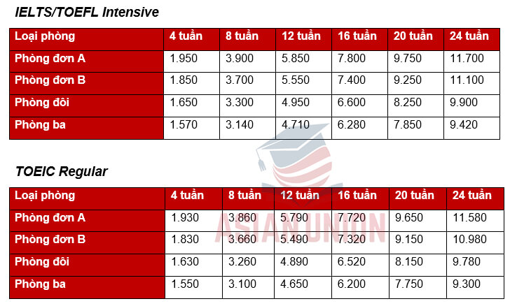 Học phí IELTS/TOEIC/TOEFL course trường Anh ngữ CIP
