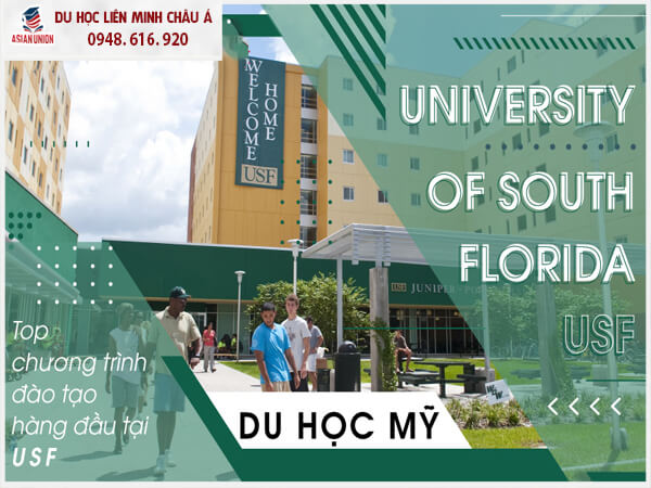 Chương trình đào tạo hàng đầu tại Đại học South Florida 