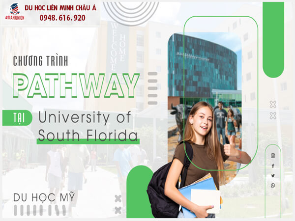 Chương trình Pathway tại University of South Florida 