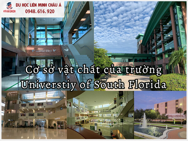 Cơ sở vật chất của trường Đại học South Florida