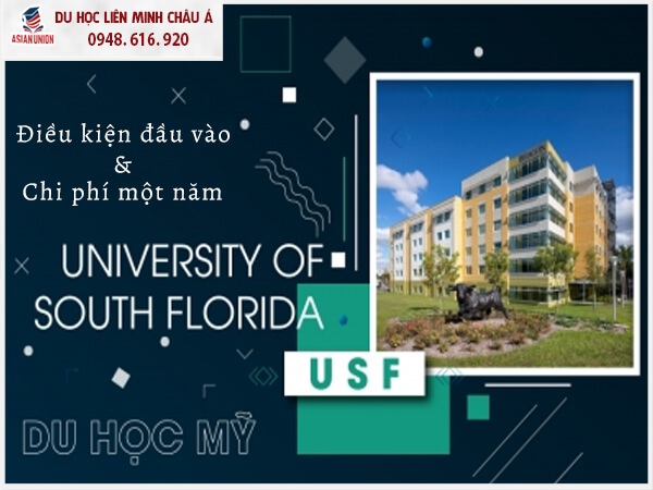Điều kiện và chi phí du học tại University of South Florida