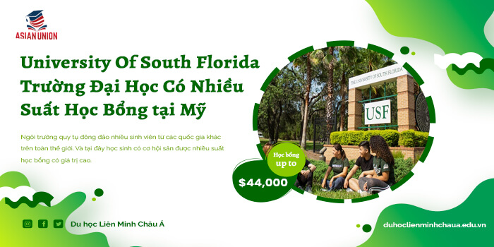 Tổng quan về trường Đại học University of South Florida