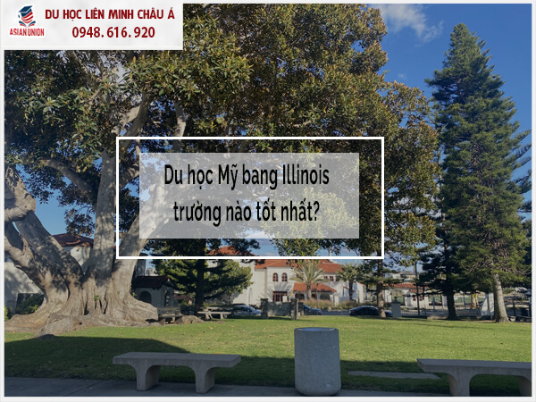 Du Học Mỹ Bang Illinois trường nào tốt nhất