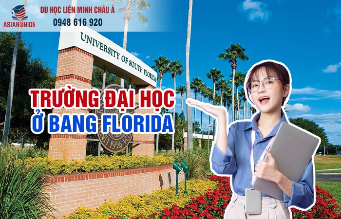 Trường đại học South Florida