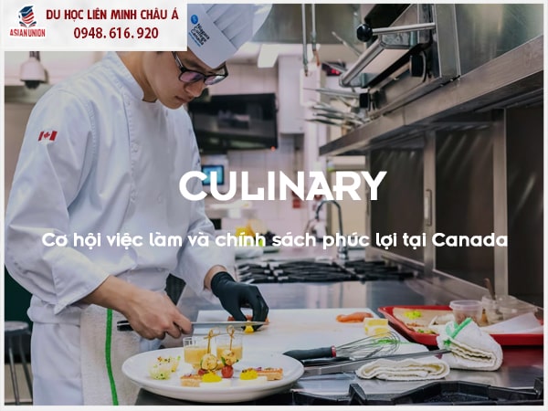 Cơ hội việc làm khi du học Canada ngành Ẩm thực và làm bếp tại Niagara College