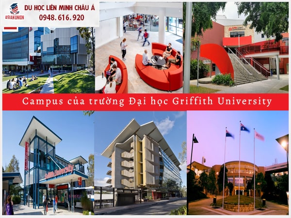 Campus của trường Đại học Griffith University