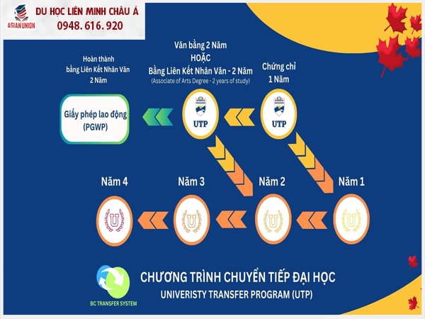 Chương trình chuyển tiếp Đại học