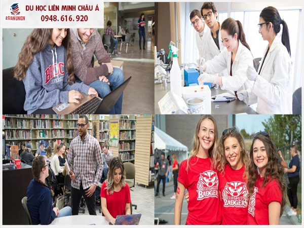 Chương trình đào tạo của trường Đại học Brock