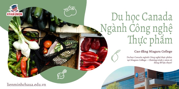 Du Học Canada Ngành Công Nghệ Thực Phẩm Tại Niagara College