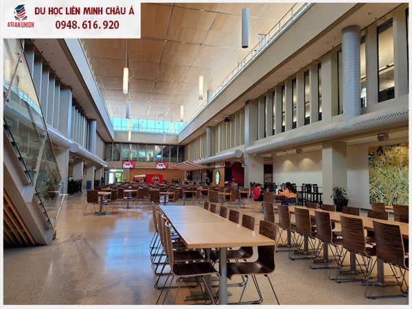 Đại học Brock nằm ở đâu tại Canada?