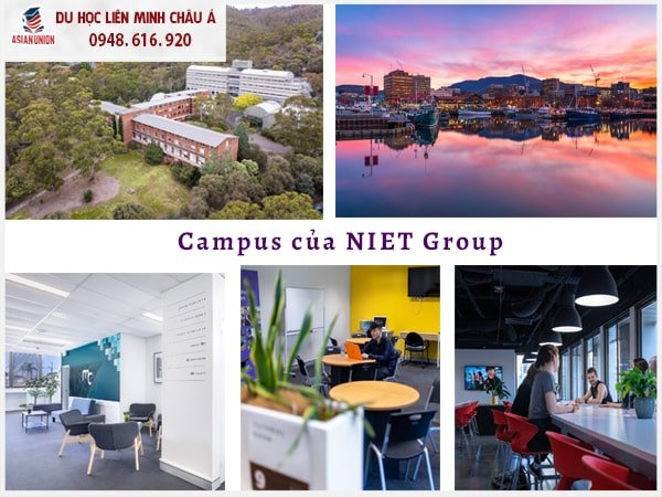 Campus NIET Group nằm ở 3 thành phố lớn tại Úc