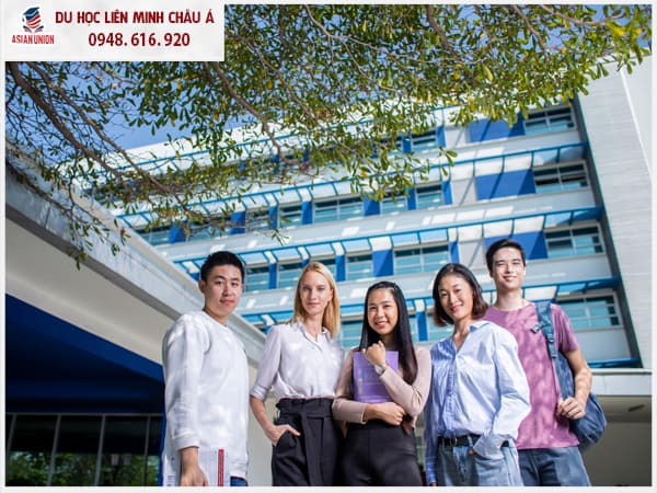 Chương trình đào tạo trường Đại học Stamford