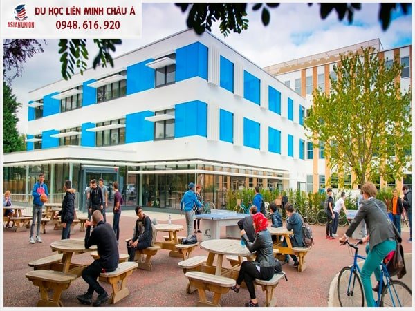 Chất lượng giảng dạy đạt tiêu chuẩn tại CATS Cambridge