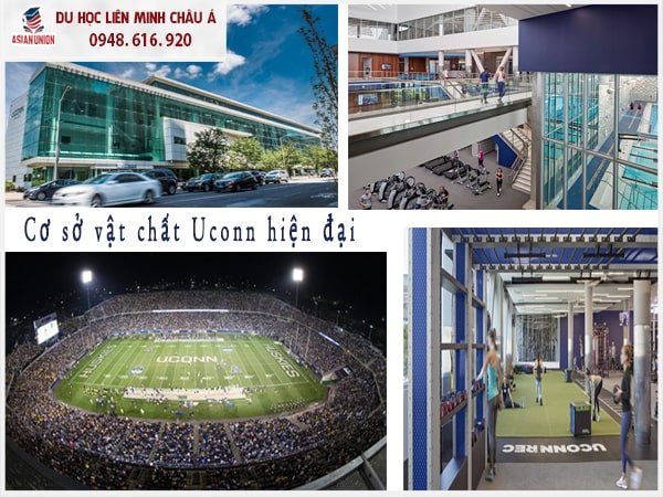 Cơ sở vật chất hiện đại tại UConn