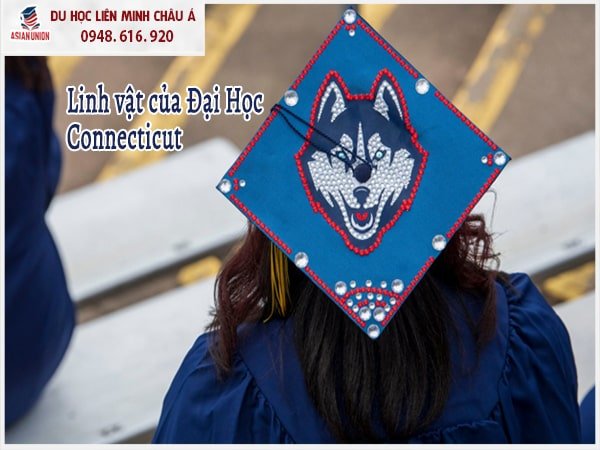 Linh vật của Đại học Connecticut