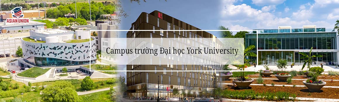 Campus của trường Đại học York University