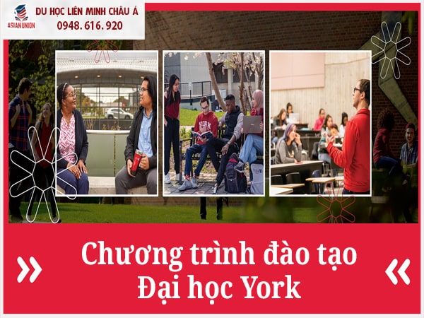 Chương trình đào tạo đa dạng với điều kiện đơn giản tại York
