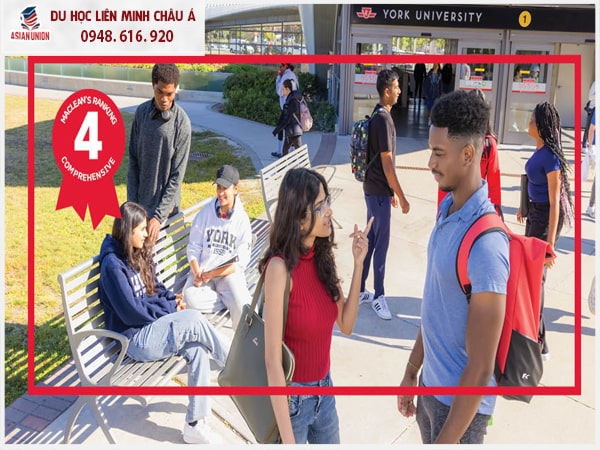 Cơ sở vật chất của trường Đại học York