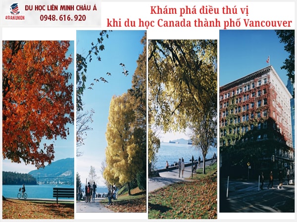 Khám phá những điều thú vị khi du học Canada thành phố Vancouver