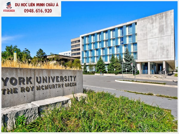 Thành tích nổi bật của trường Đại học York