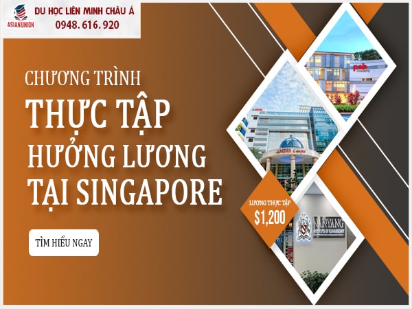 Chương trình thực tập hưởng lương tại Singapore có những ngành nào