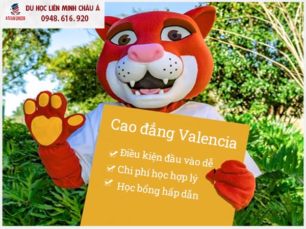 Điều kiện đầu vào trường Cao đẳng Valencia