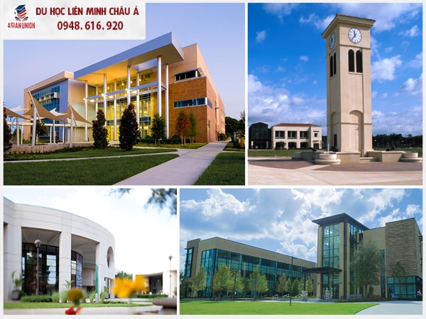 Lộ trình nhận bằng Cử nhân tại Cao đảng Valencia