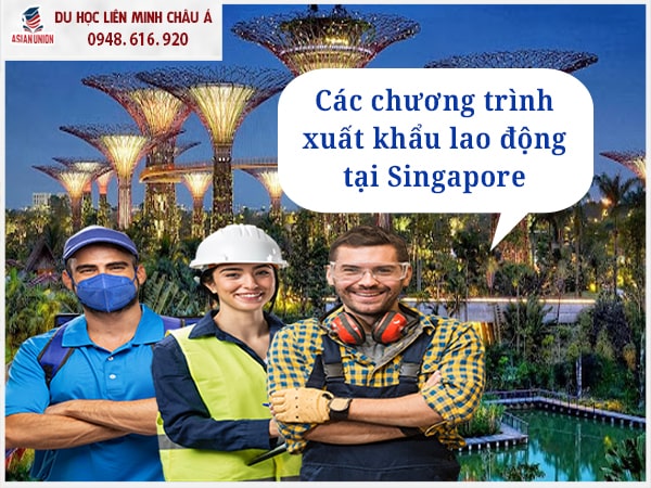 Có bao nhiêu chương trình xuất khẩu lao động Singapore?
