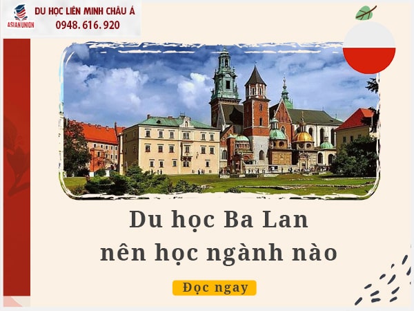 Nên học ngành nào khi du học Ba Lan