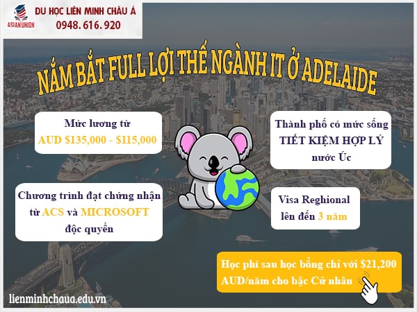 Lợi thế học IT tại Nam Úc trường Đại học Sunshine Coast