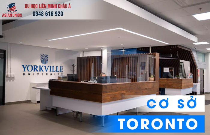 Đại học Yorkville