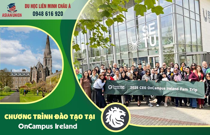 Chương trình đào tạo tại OnCampus Ireland