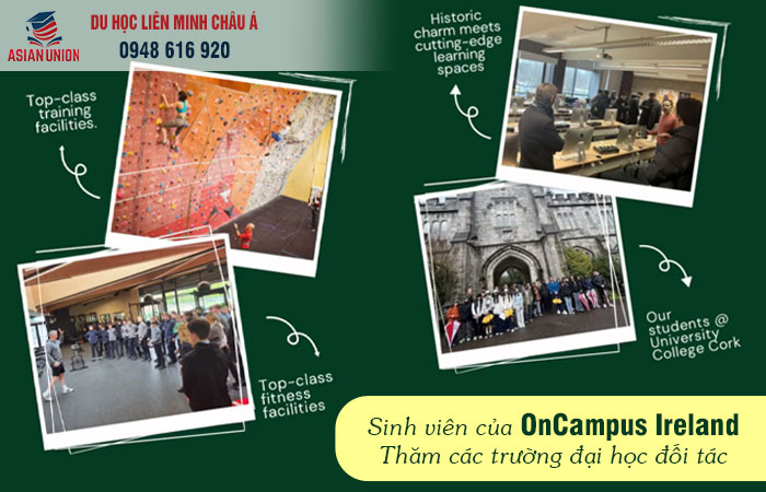 Sinh viện tại OnCampus Ireland