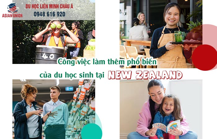 Những công việc phổ biến cho sinh viên tại New Zealand