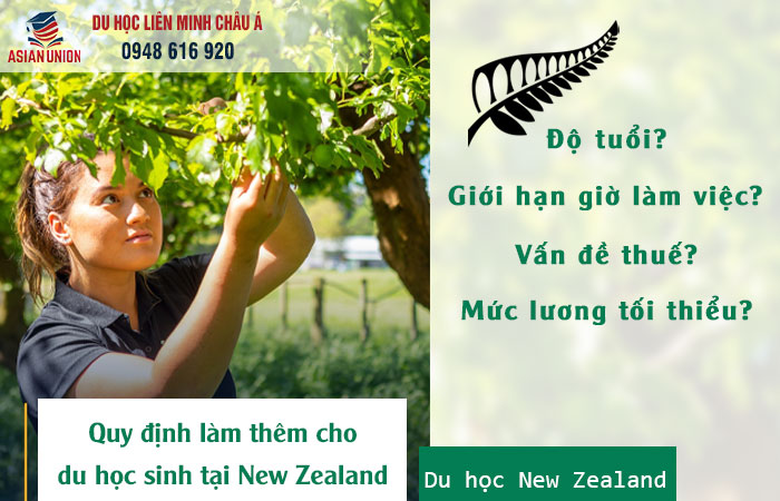 Làm thêm khi du học tại New Zealand cần lưu ý gì?