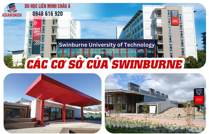 Các cơ sở của Swinburne University of Technology