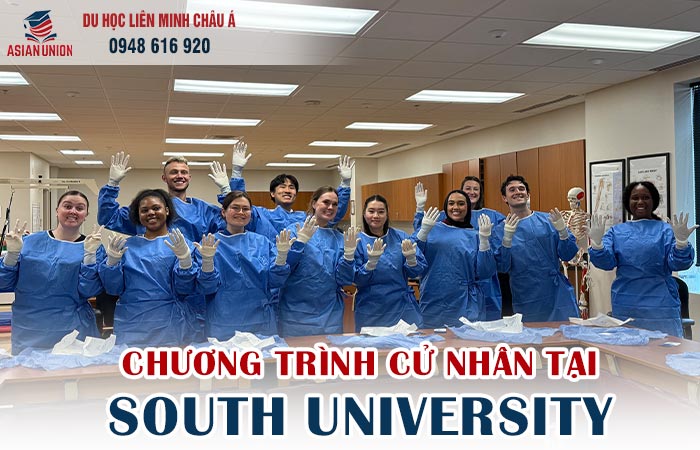 Chương trình cử nhân tại đại học South University