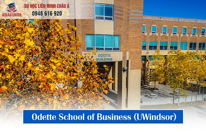 Trường kinh doanh Odette School of Business