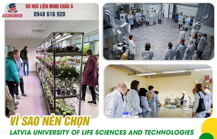 Lý do nên chọn đại học Latvia University of Life Sciences and Technologies