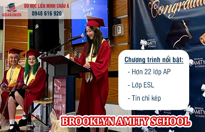 Chương trình đào tạo tại Brooklyn Amity School