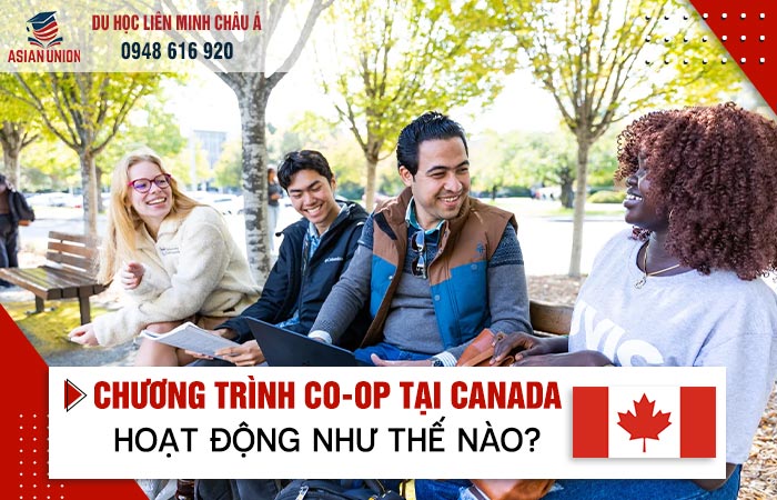 Chương trình Co-op là gì?