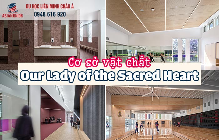 Cơ sở vật chất lại OLSH